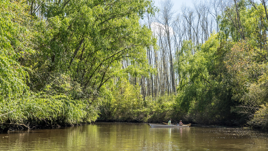Los 10 Parques y Reservas Naturales en la Provincia de Buenos Aires que son Imprescindibles de ver Parques y Reservas Naturales en la Provincia de Buenos Aires: Arroyo las Cañas