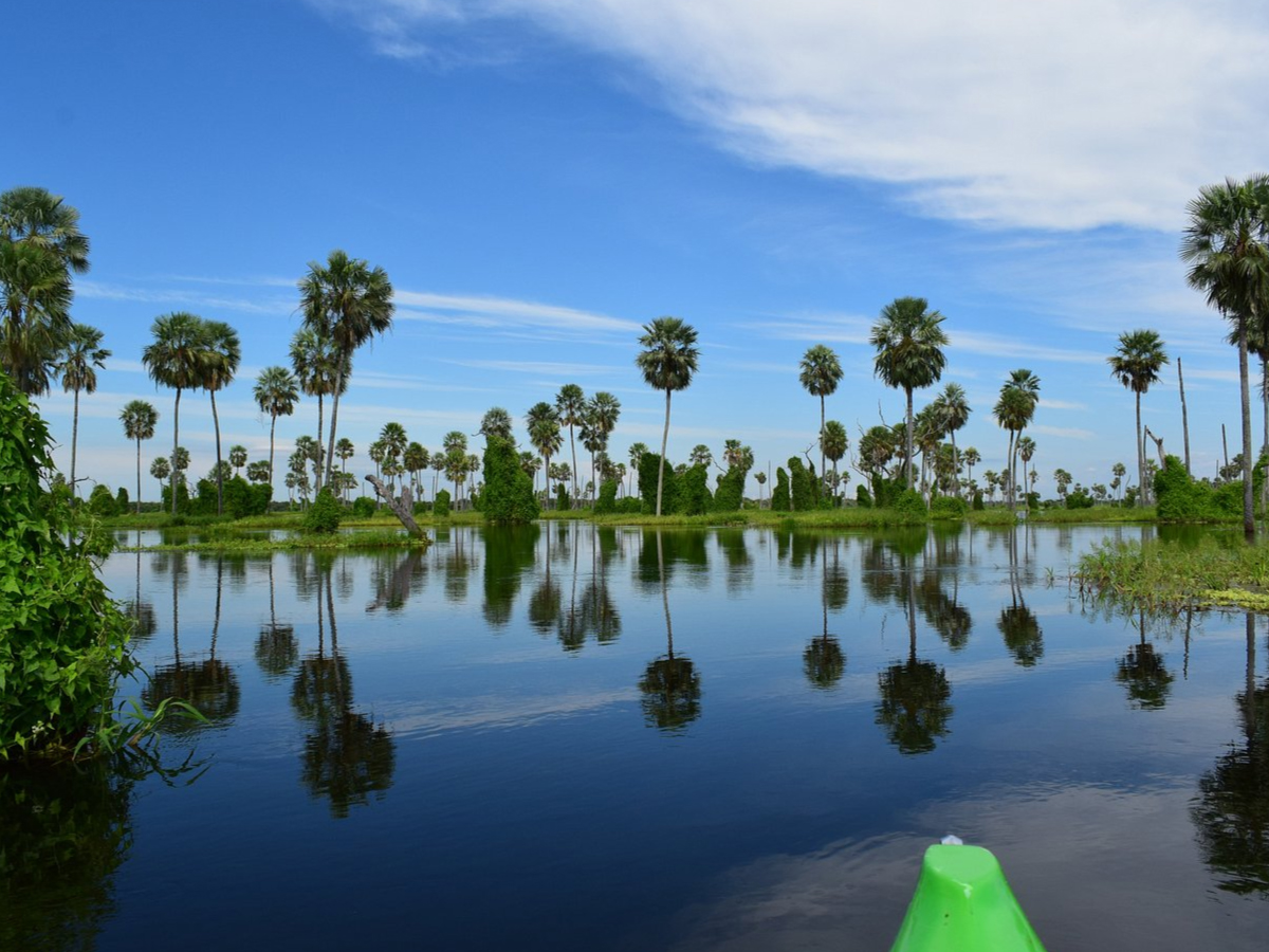 Bañado La Estrella en Formosa