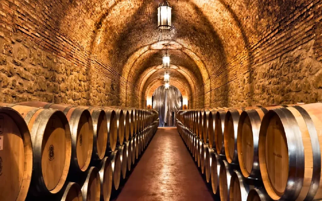 Hotelería y bodegas en Mendoza