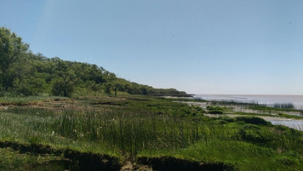 Los 10 Parques y Reservas Naturales en la Provincia de Buenos Aires que son Imprescindibles de ver Parques y Reservas Naturales en la Provincia de Buenos Aires: Parque Costero del Sur